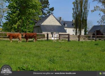 Gîtes de France G772 > L'Amandière